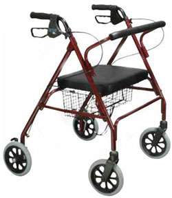 Drivie Medical Winnie Walker Bariatric Rollator