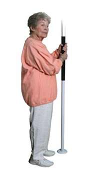 Drive Medical EZ Assist Pole