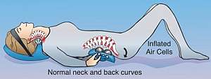 Neck and Back Posture Pump, ELECTRICAL Deluxe Full Spine Treatment 6100
