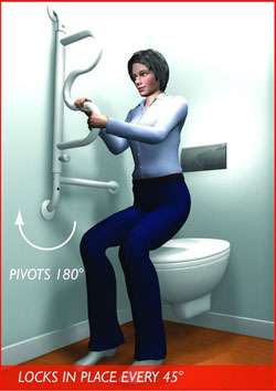 Standers Curve Grab Bar