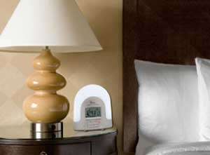 Zadro Natural Sunlight Alarm Clock