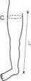 Additional Huntleigh arm leg measurement