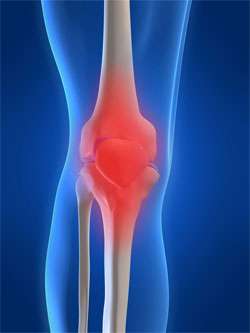 Improving Mobility Problems with Gait Transfer Belts