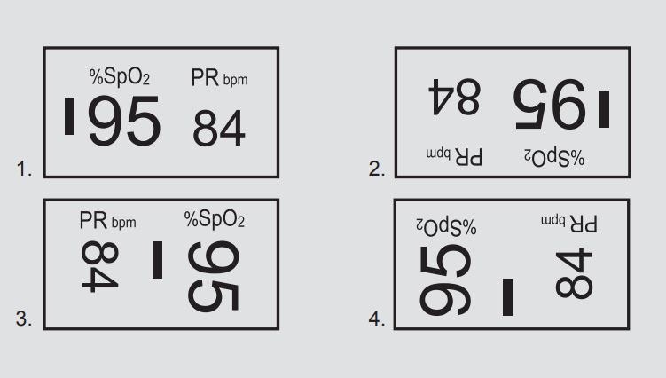 Display Screen