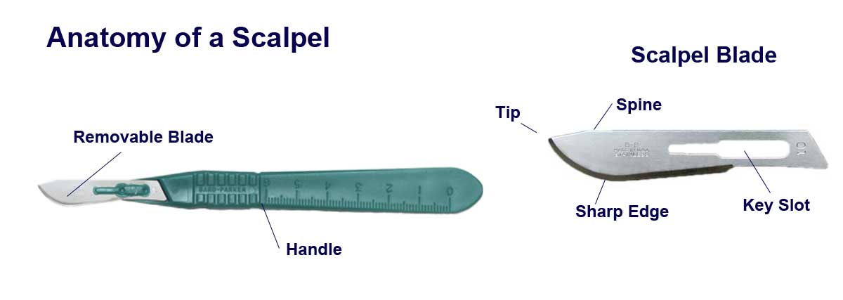 Anatomy of a Scalpel