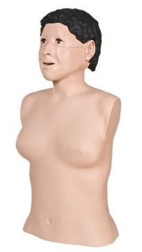 CPRLilly Manikin