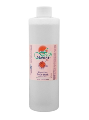 Fresh Moments Rinse Free Body Wash