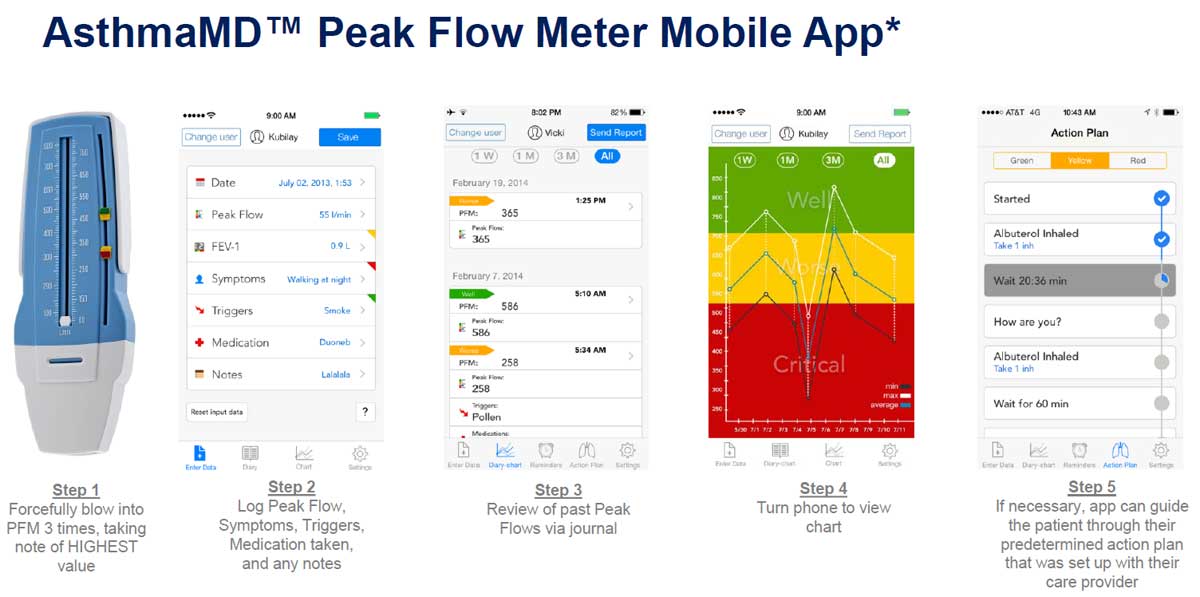 Asthmamd Peak Flow Meter Chart