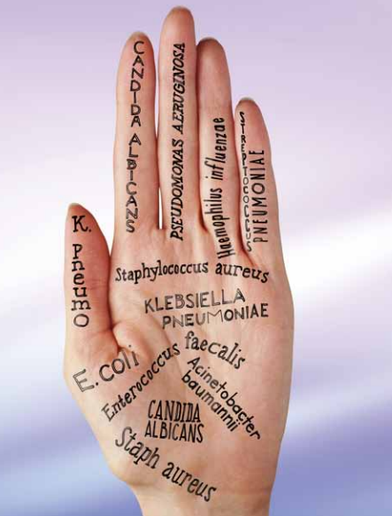 Avagard D Hand with Bacteria