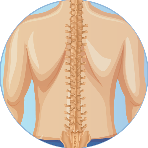 Shop Back Pain Relief