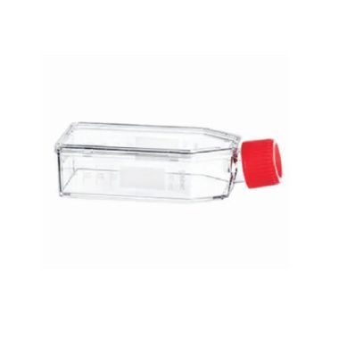 Greiner Bio-One Cellstar Cell Culture Flasks, 50 mL - 690175