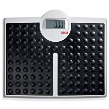 Seca 813 High Capacity Digital Flat Scale
