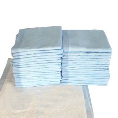 Mckesson 23 x 36 Puppy Pads Light Absorbency House Breaking