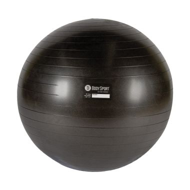 BodySport Eco Studio Series Fitness Balls - Several Sizes/Colors