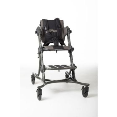 Special Tomato CatchUp Chair