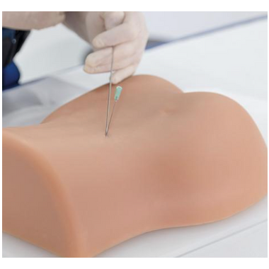 Nasco Image Guided Lumbar Spinal Injection Trainer