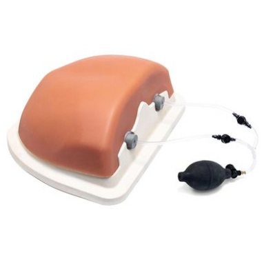 Nasco Image Guided Thoracic Spinal Injection Trainer - 1021899