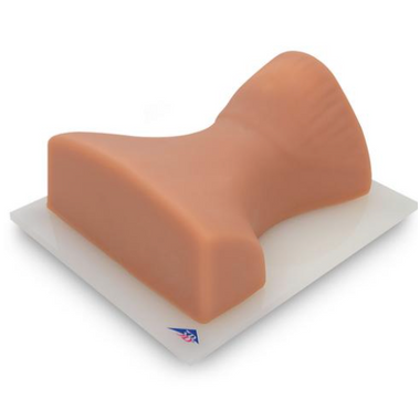 Nasco Image Guided Cervical Spinal Injection Trainer - 1021900