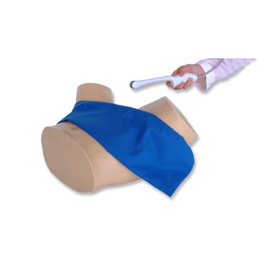 Nasco IUP & Ectopic Pregnancy Transvaginal Ultrasound Training Model