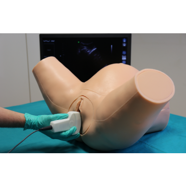 Nasco Advanced Ultrasound OBGYN Simulator, IUSIMAO