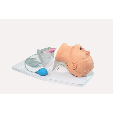 Nasco Airway Larry Trainer