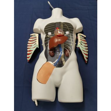 Nasco PerfusionSim Task Trainer, PFS