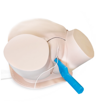 Nasco SonoHysteroSim Ultrasound Simulator, SHS