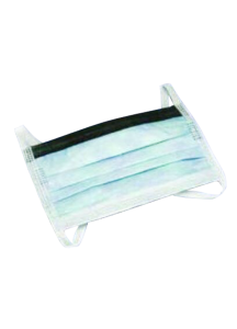 SecureGard Pleated Earloop Surgical Mask