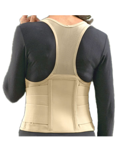 Original Cincher Back Support