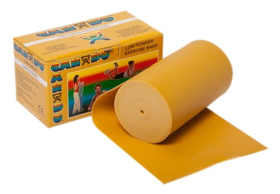 Orange Exercise Band