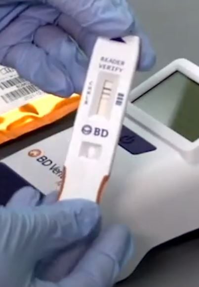 BD Veritor System Reader Verification Cartridge - 256047