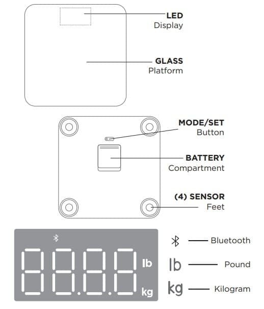 302-1113BB Scale Diagram: LED display, Glass Platform, Mode/Set Button, Battery Compartment, (4) Sensor Feet, Bluetooth, Pound, Kilogram