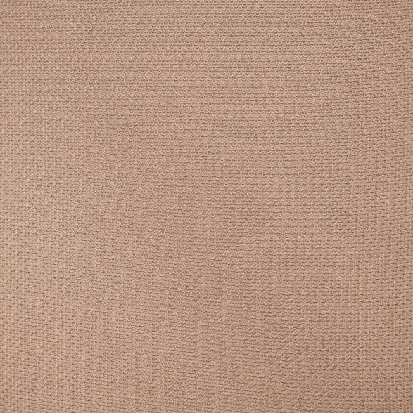 Silky Beige Color Swatch