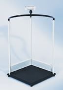 Image 1 of Seca Large Platform Scale with Handrails 644