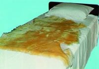 Image 2 of Sofsheep Genuine Sheepskin Pad by Sheepskin Ranch