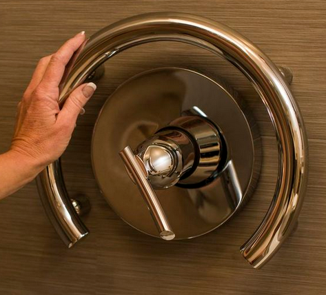 Shower Ring Grab Bar