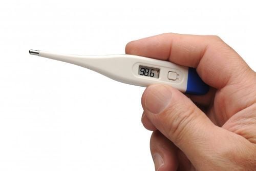 Image 2 of ADC Electronic Digital Thermometer