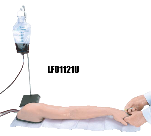 Image 6 of Advanced IV Models Life/Form