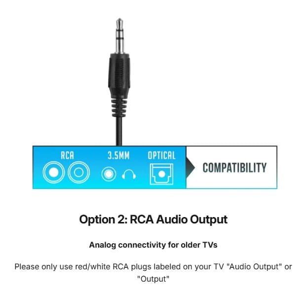 Option 2: RCA Audio Output