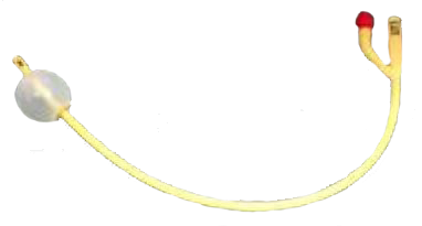 Image 1 of AMSure Two Way Silicone Coated Latex Foley Catheters