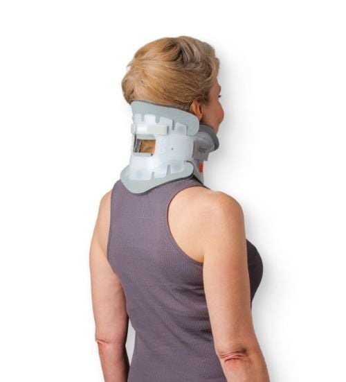 Back view of the collar