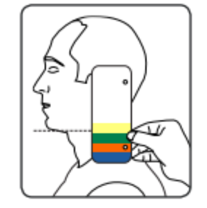 Sizing Guide