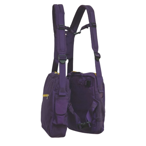 BackTPack Bag in the purple color