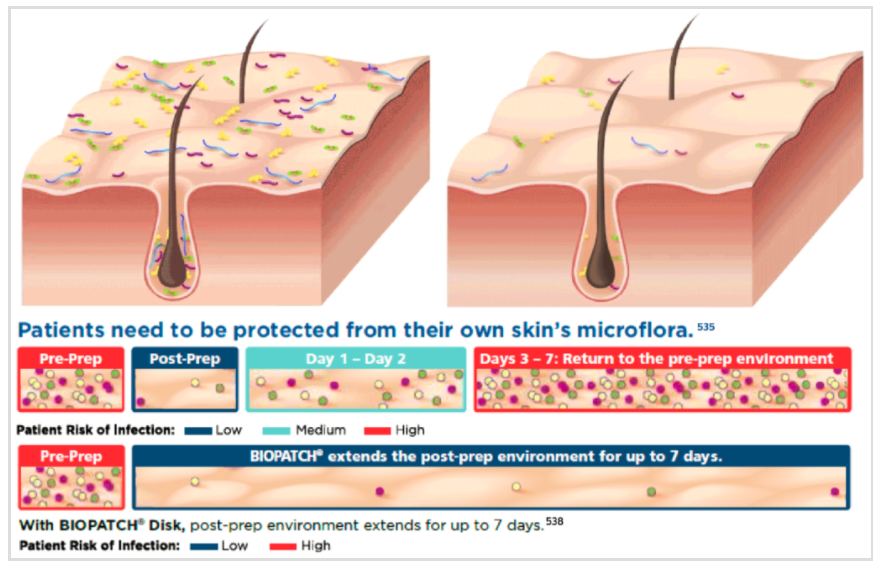 BioPatch Microflora Image