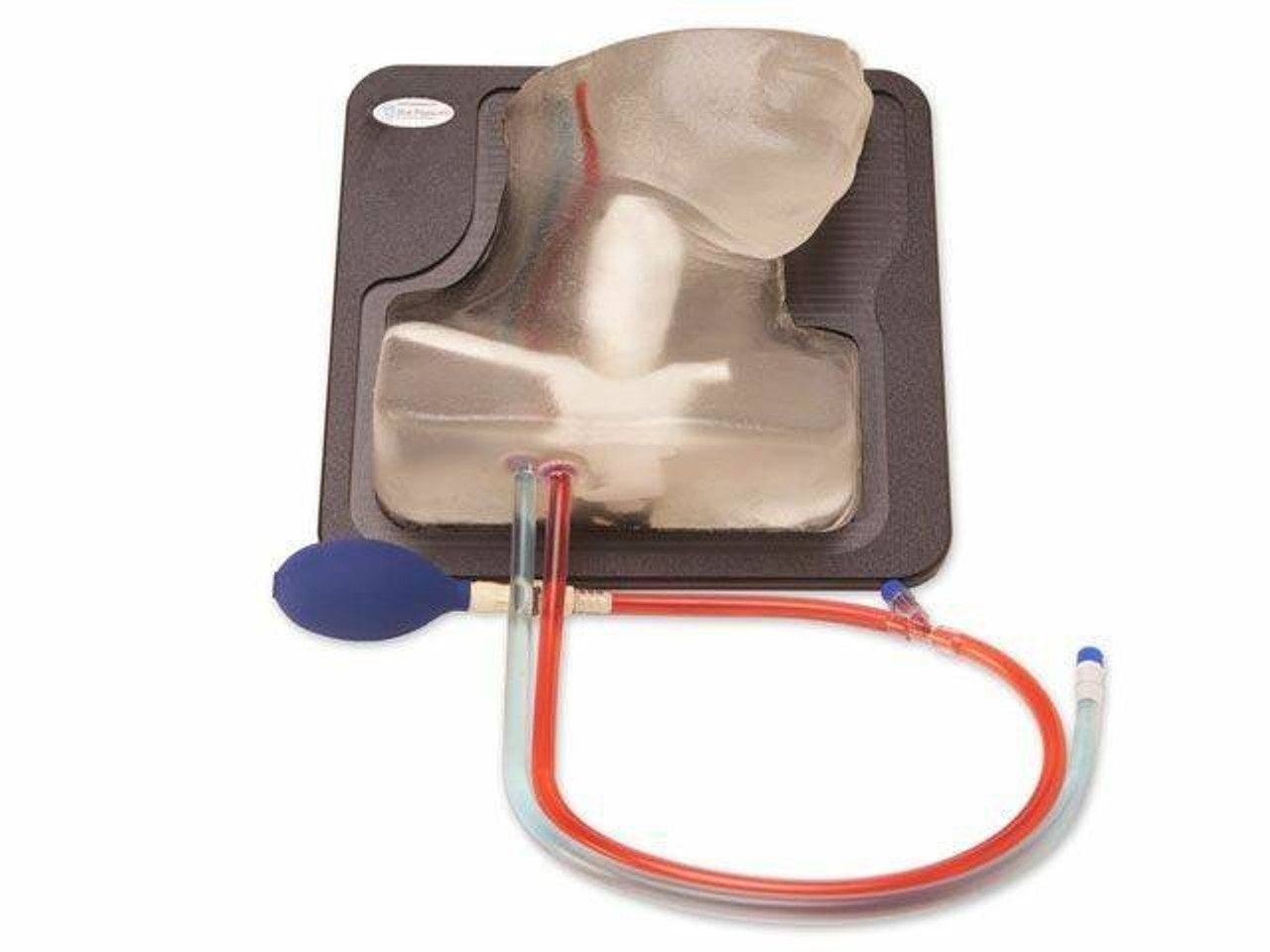 Transparent Internal Jugular Central Line Model