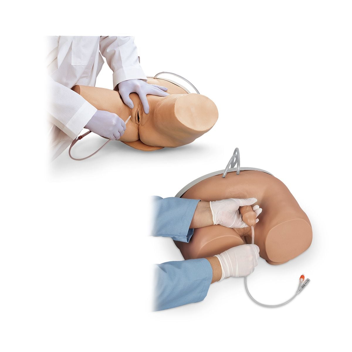 Image 1 of Life/form Male & Female Catheterization Simulators