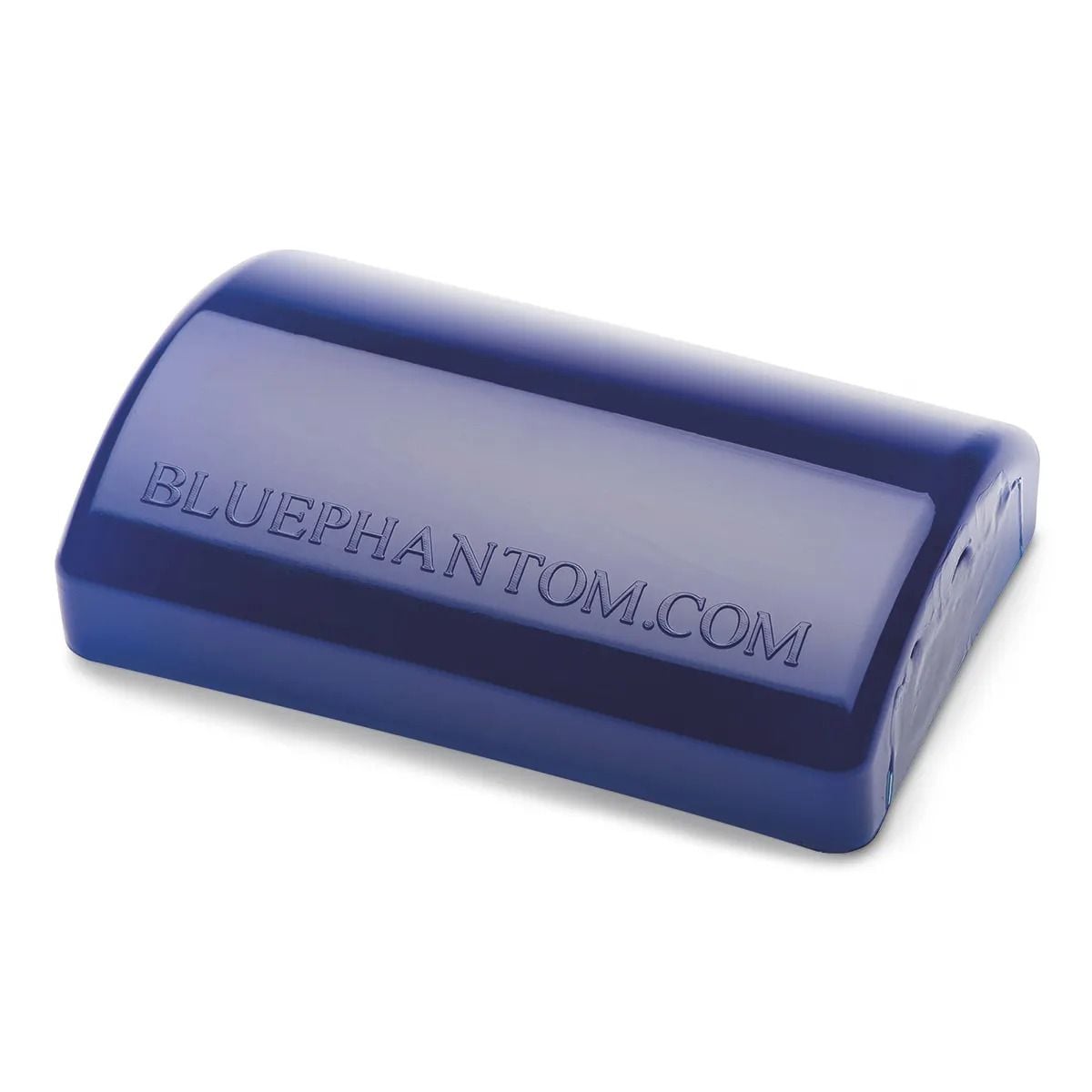 Nasco Blue Phantom Branched Vessel Ultrasound Training Block