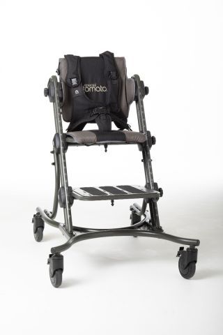 Special Tomato CatchUp Chair