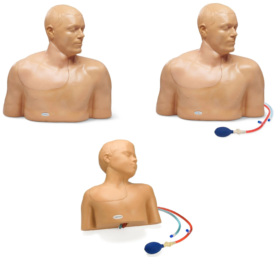 Training Models - Adult and Pediatric