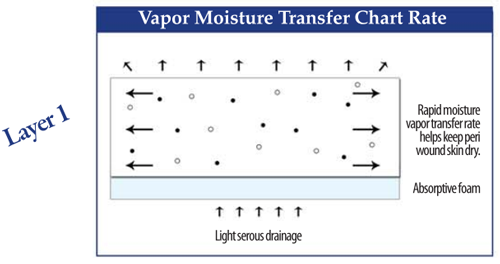 CoFlex TLC Vapor Transmission